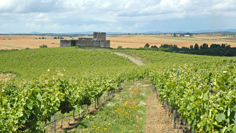 Portugal - p egen hnd